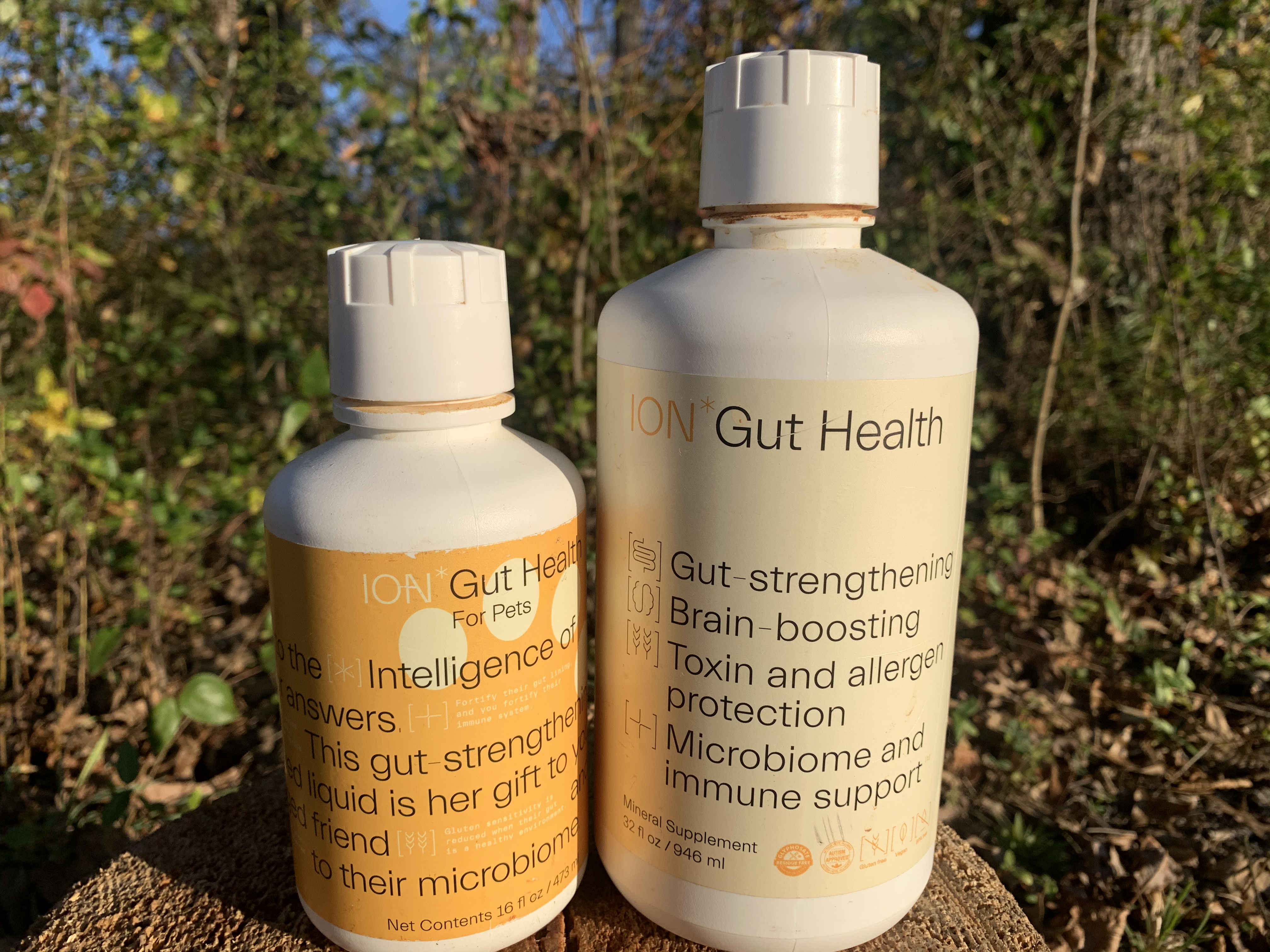ION* Gut Health (formerly RESTORE) - heatharmstrong.com